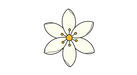 Delicate six petaled cream flower with yellow center and textured outline isolated