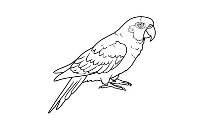Detailed line art drawing of a perched parrot showing feathers and perch