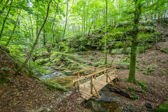 Beautiful green forest Hiking path with Sandstone chalk rock formations in Berdorf Mullerthal Luxembourg