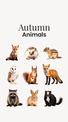 Obraz premium Animals in Autumn element set