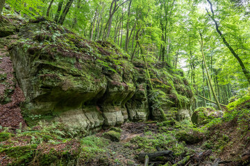 Beautiful green forest Hiking path with Sandstone chalk rock formations in Berdorf Mullerthal Luxembourg