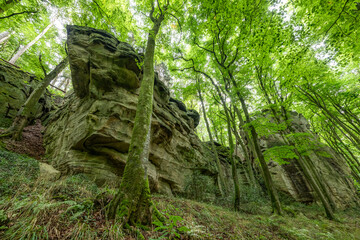 Beautiful green forest Hiking path with Sandstone chalk rock formations in Berdorf Mullerthal Luxembourg