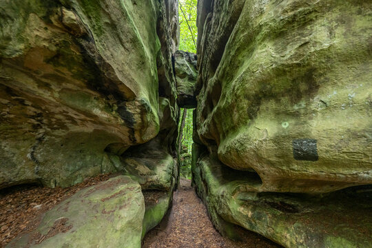 Beautiful green forest Hiking path with Sandstone chalk rock formations in Berdorf Mullerthal Luxembourg