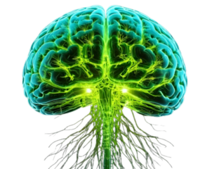 “Digital Visualization of Green Brain with Illuminated Synapses, isolated PNG