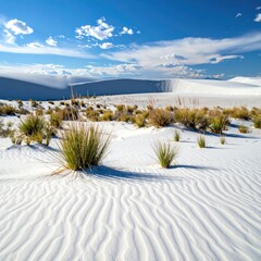 White desert landscape with grasses (1)