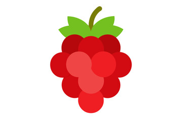 raspberry with leaves