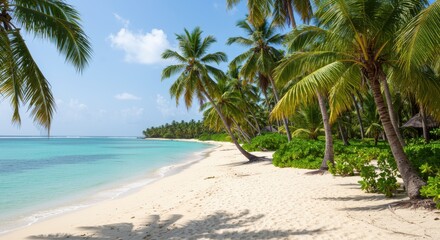 Pristine white sand beach stretches beneath swaying palm trees, a tranquil scene of tropical paradise.
