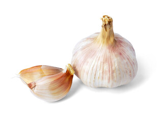 Garlic bulb isolated on white background. Selective Focus