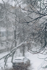Beautiful view of city street with cottages and trees on winter day