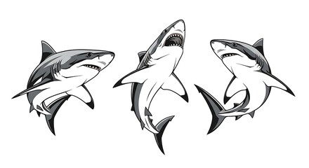 Three Sharks in Black and White Illustration.