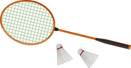 Badminton Racket and Shuttlecocks