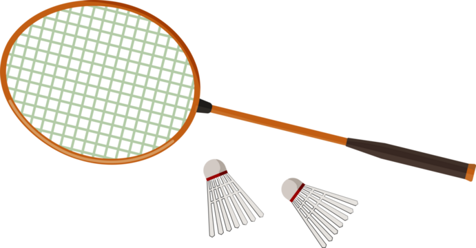 Badminton Racket and Shuttlecocks