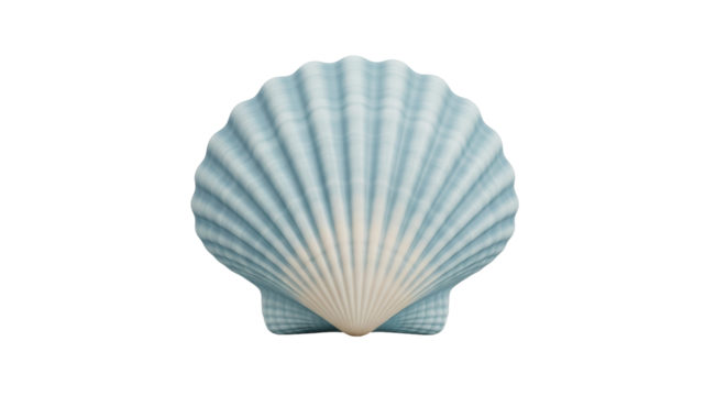 Isolated pale blue seashell against a neutral backdrop, perfect for seaside designs