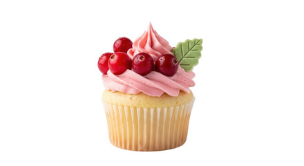 Isolated festive cupcake with pink frosting and cranberry decoration on top close-up view