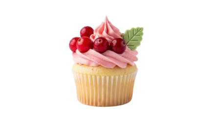 Isolated festive cupcake with pink frosting and cranberry decoration on top close-up view