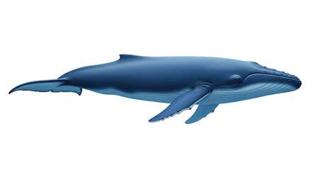 Isolated Humpback Whale Swimming Side View Realistic Marine Mammal Wildlife Illustration