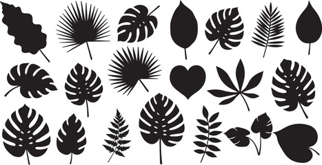  Tropical palm leaves vector set exotic foliage silhouettes isolated on white illustration EPS10