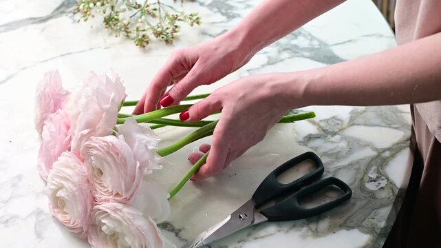 Preparing pink ranunculus flowers for elegant floral arrangements on a marble countertop