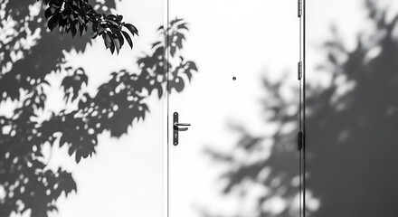 White Door Shadowed by Leaves.