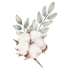 watercolor cotton and leaves on a white background in vintage style