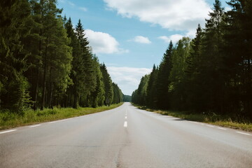 Naklejka premium A peaceful road surrounded by dense green trees under a clear blue sky