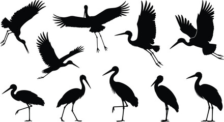 Flying and Standing Crane Silhouettes Vector Set, Black Bird Icons Collection, Wildlife Animal Illustration, Elegant Nature Scene Design, Heron, Stork, Crane Graphics