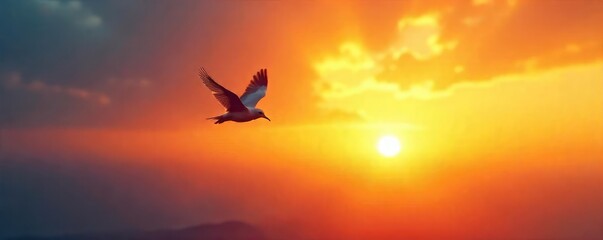 Delicate Bird in Flight at Sunrise Hope, New Beginnings, Tranquil Scene