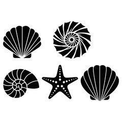 Black and white seashells and starfish on white background.