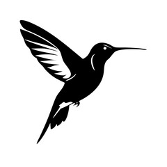 hummingbird vector illustration