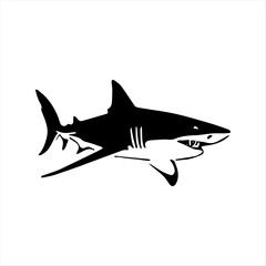 shark vector illustration