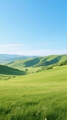 Fototapeta premium Rolling green hills under a clear blue sky in a serene countryside landscape