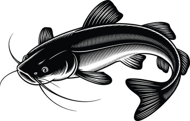 Detailed black and white artistic rendering of a catfish with stylized fins and whiskers