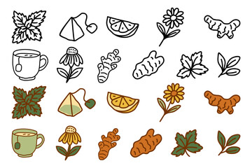 A hand-drawn doodle icon set of herbal tea and natural ingredients, including mint, ginger, lemon, and chamomile, presented in both black and white outline and color versions for wellness themes