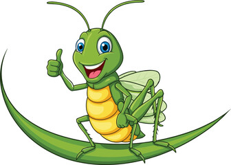 Happy cartoon green grasshopper giving thumbs up, sitting on green leaf, smiling insect character, nature scene, friendly bug, colorful illustration, outdoor wildlife, cheerful mascot design