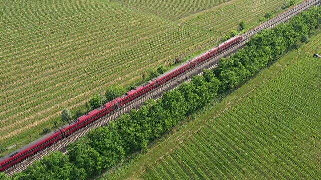 A sleek Italian train speeds through the countryside, surrounded by vineyards and rolling fields. Stunning aerial view.