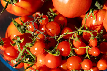 Frische Suppe aus Tomaten Solanum lycopersicum