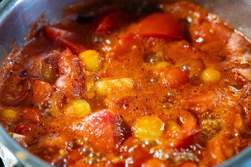 Frische Suppe aus Tomaten Solanum lycopersicum