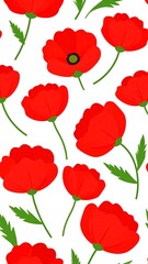 Red poppy flowers on white background