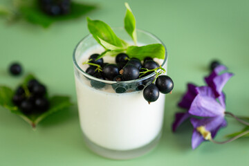 Summer dessert of blackcurrant and yogurt in a transparent bowl