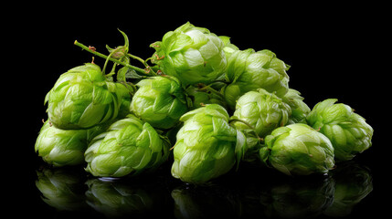 Fototapeta premium fresh green hops on black background.