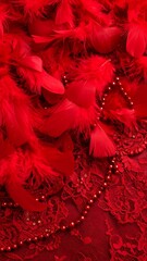 Red feathers and lace close-up