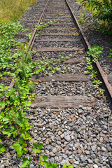 Obraz premium Stillgelegtes Eisenbahngleis mit Pflanzen