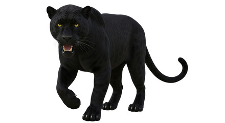 Isolated black panther prowling in the jungle, ready to strike a predator, fierce wildlife