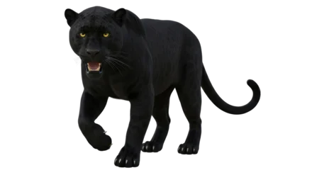 Fototapete Puma Isolated black panther prowling in the jungle, ready to strike a predator, fierce wildlife  © Emil