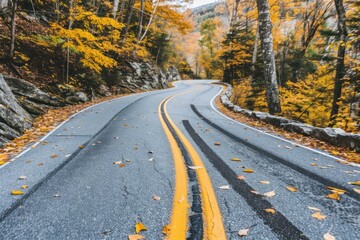 Fototapeta premium Autumn landscape autumn outdoors highway.