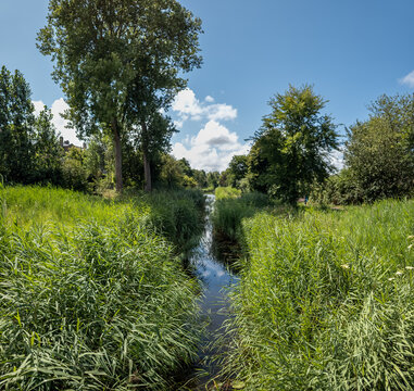 A serene scene features lush greenery surrounding a narrow brook, called The Hague Stream (De Haagse Beek). Tall trees tower over the landscape, while a clear sky adds depth.