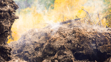 Wildfire danger and destruction environment nature. Environmental fumes pollution air concept...