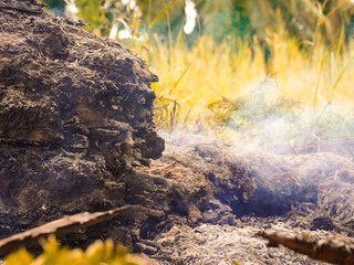 Wildfire danger and destruction environment nature. Environmental fumes pollution air concept global warming. Autumn background and fall leaves. Smoke waste
