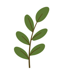 Hand drawn leafy branch with fresh green leaves for eco nature decoration
