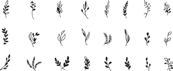 Vector leaves illustration set: botanical elements for design eps silhouette